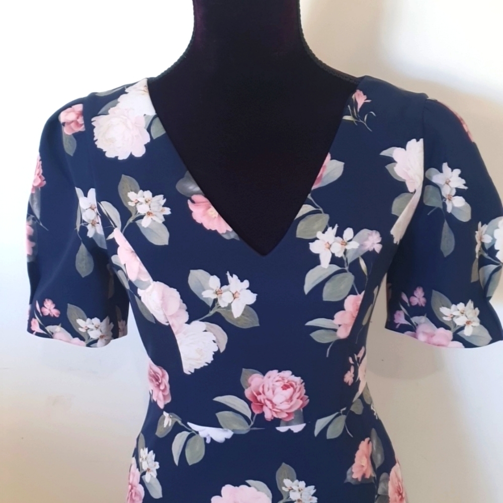 Forever New Size 8 Floral Pink and Blue Dress - Picture 2 of 7